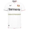 Original Fußballtrikot Bayer 04 Leverkusen Ausweichtrikot 2022-23 Für Herren